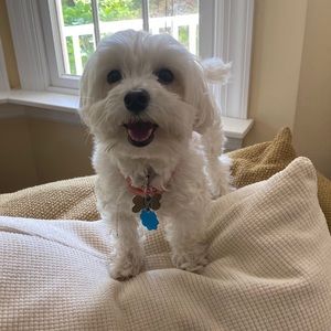 Meet your Posher, Nell